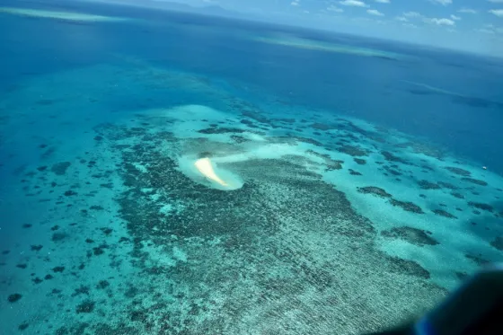 Aerial view of the Great Barrier Reef, showing coral formations in turquoise water off the Queensland coast