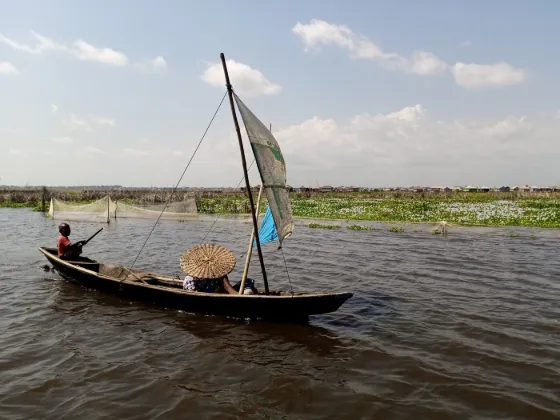 A narrow wooden pirogue under sail carrying goods across the reed-fringed water of Lake Nokoue, Benin