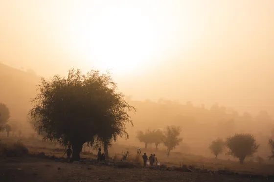 A lone tree silhouetted against a hazy orange sunrise at Rhumsiki, northern Cameroon, with figures in the distance
