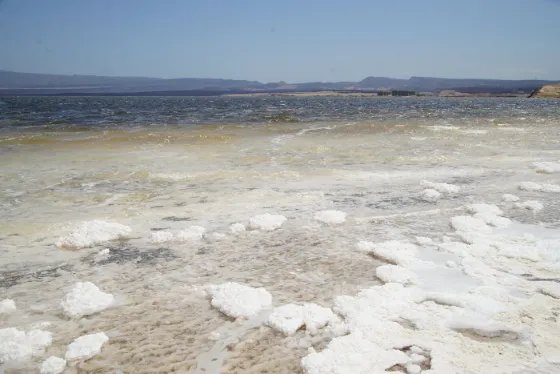 A white crust of salt along the pale shore of Lake Assal under a hazy sky, Djibouti