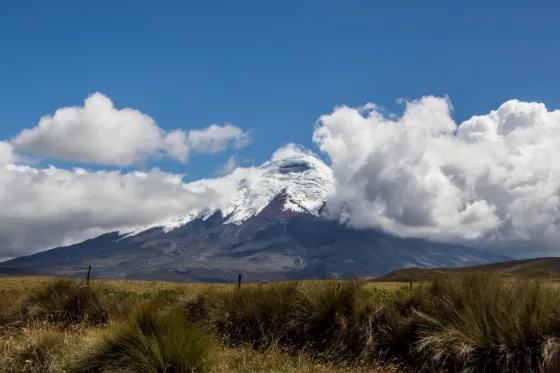 The snow-covered summit of Cotopaxi rising above cloud and high grassland, Ecuador