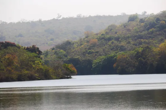 A calm stretch of the Bafing river running between densely forested hills in Guinea