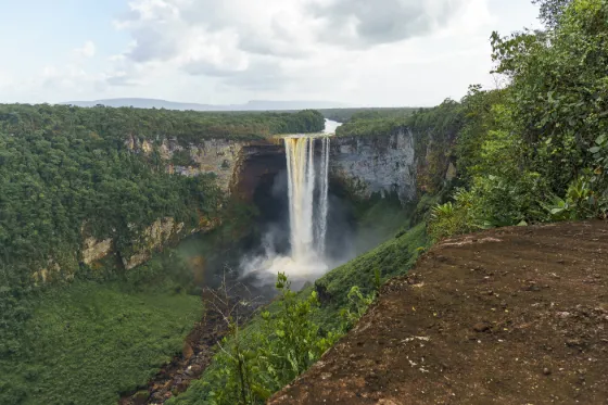 A single column of water dropping from a forested plateau into the gorge below at Kaieteur Falls, Guyana