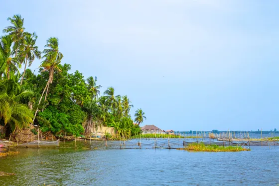 Palms and green banks along a calm coastal lagoon at Grand-Bassam, Côte d'Ivoire, with fishing poles standing in the shallows
