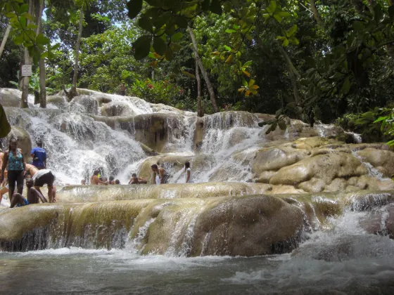 Water stepping down wide limestone terraces among dense green trees at Dunn's River Falls, Jamaica, with people climbing