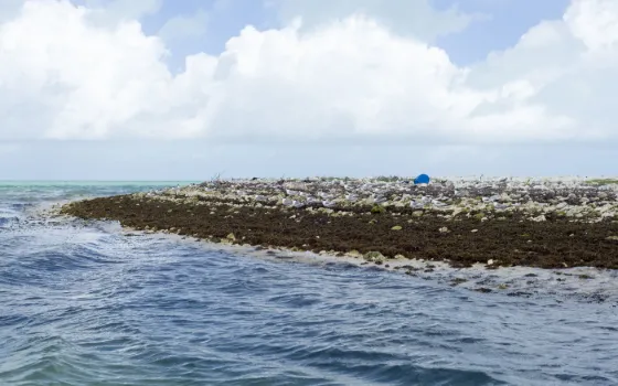 A long low reef islet barely rising above the open Pacific at Kiritimati, Kiribati