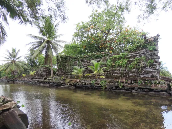 Stacked basalt walls of the ancient ruins of Nan Madol rising from shallow water among palms, Pohnpei