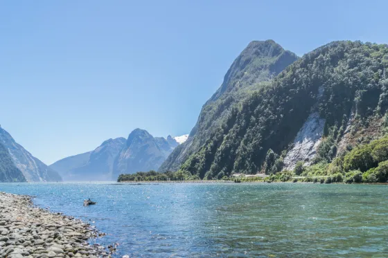 Milford Sound, a fiord in New Zealand's South Island, with steep forested cliffs rising from the water