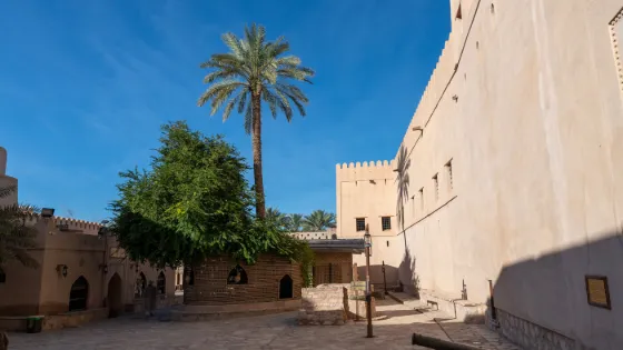 A sunlit courtyard inside the pale stone walls of Nizwa Fort, Oman, with a palm growing against the rampart