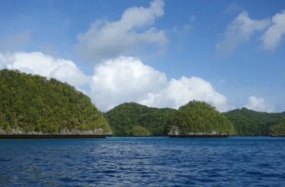 Forested limestone islets of the Rock Islands rising steeply from calm blue water, Palau