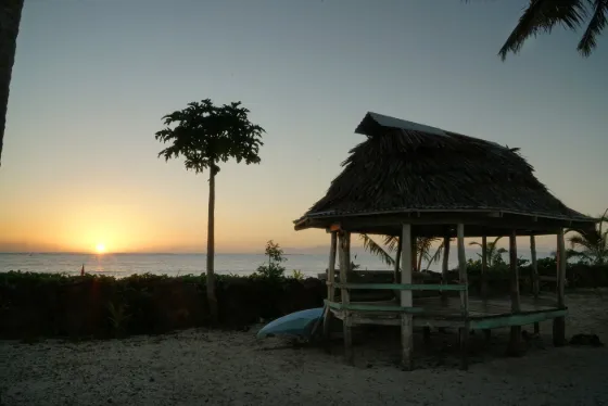 An open thatched fale on the shore at sunrise, with a palm silhouetted against the sea, Samoa
