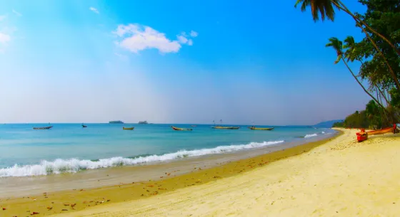 Pale sand and turquoise shallows curving along Tokeh Beach, with palms leaning over the shore, Sierra Leone