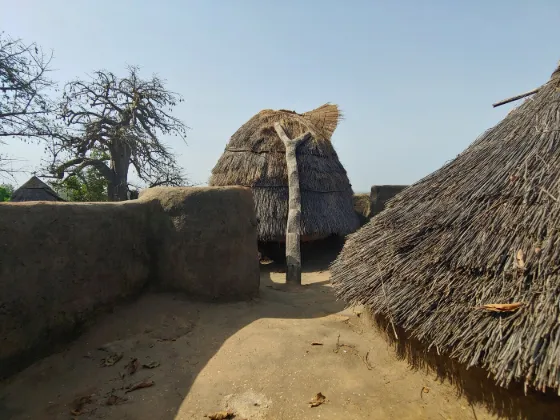 A mud granary with a conical thatched cap beside a thatched roof in the Koutammakou landscape, northern Togo