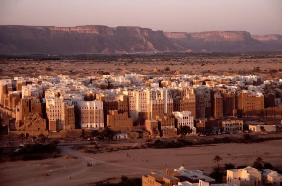 The close-packed mud-brick tower houses of Shibam rising from the floor of Wadi Hadhramaut, Yemen